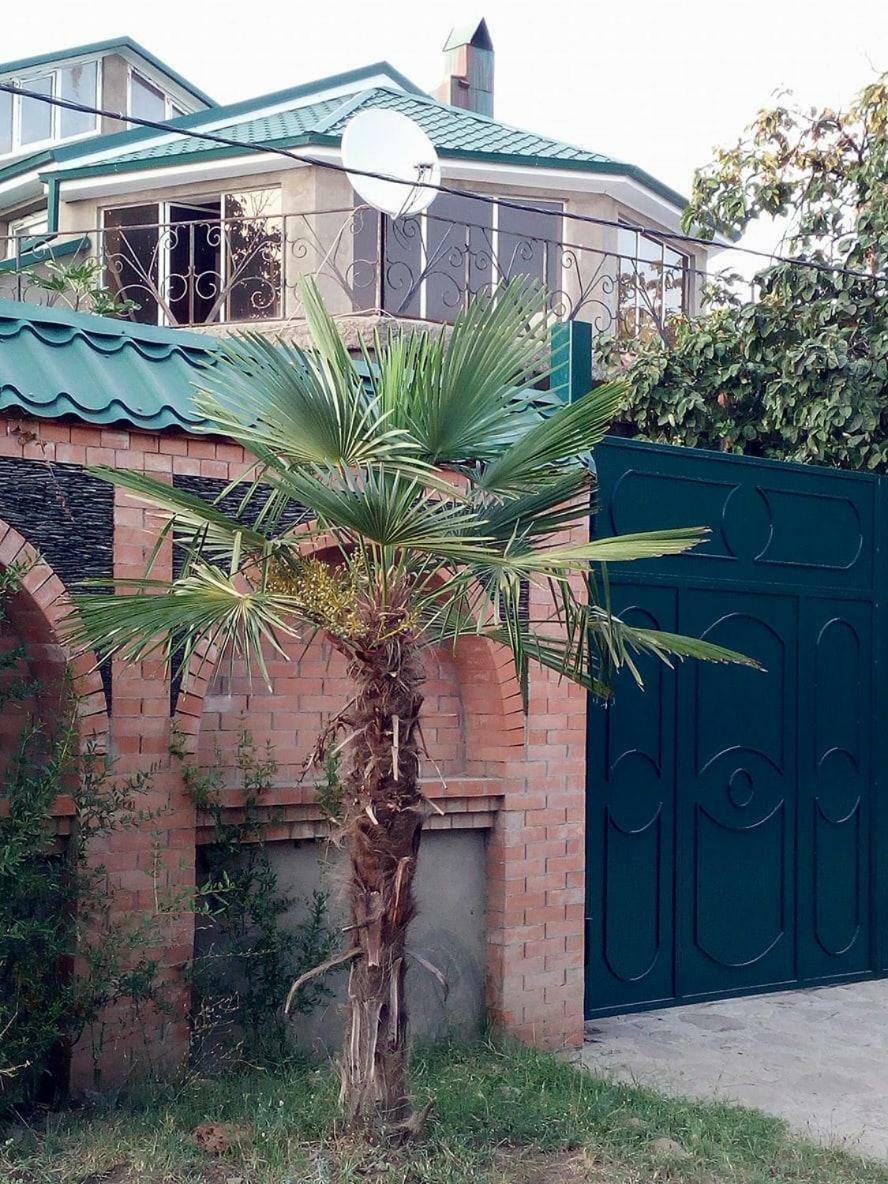 Green House Kachretʼi 外观 照片